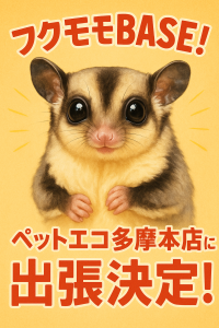 フクモモBASE ペットエコ多摩本店出張告知